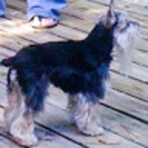 Meet your Posher, Eileen